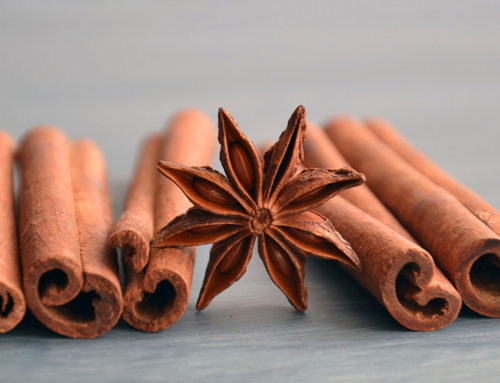 Cinnamon, Star-Shaped Anise and Clove