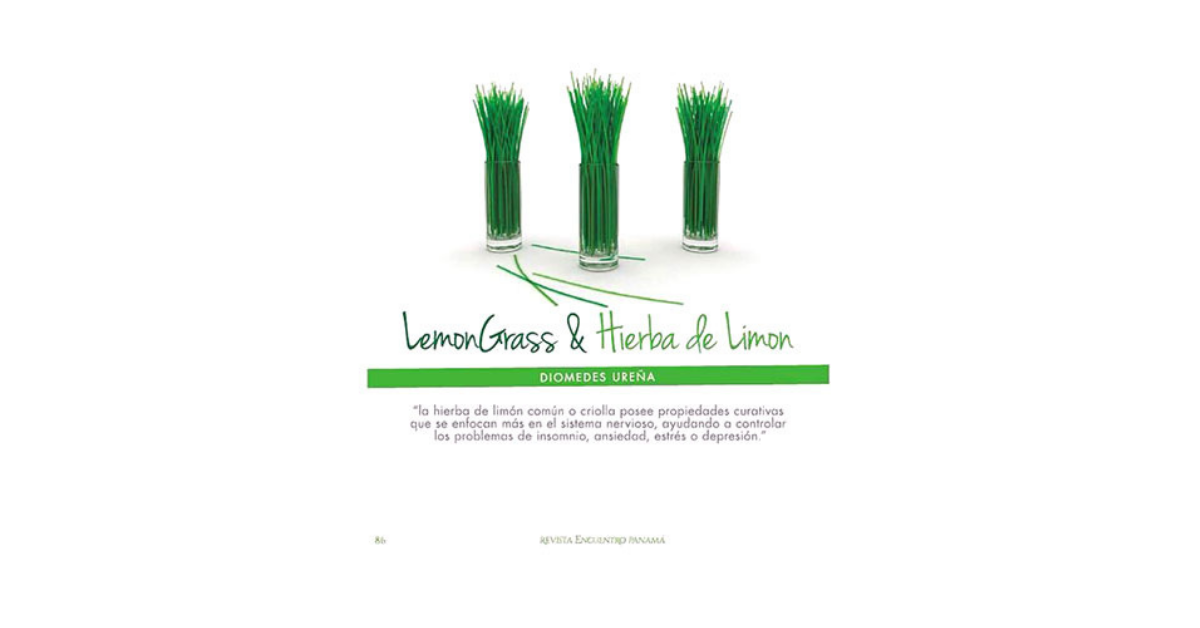 LemonGrass & Lemon Herb