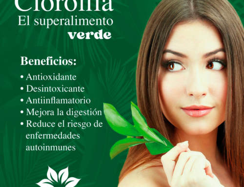 Clorofila: el superalimento verde