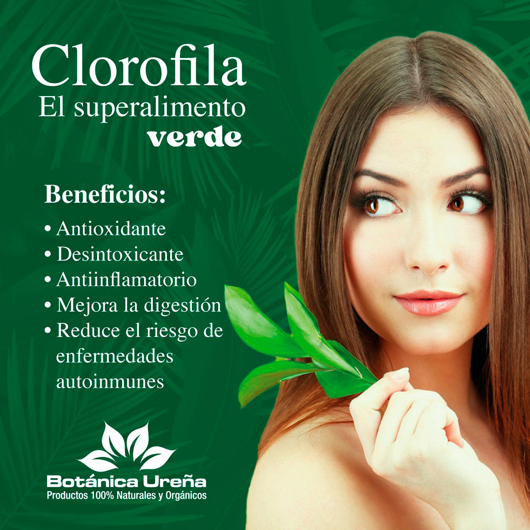 Clorofila: el superalimento verde